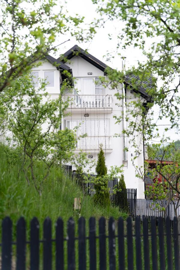 Vila Club Dioda Cicanesti Dış mekan fotoğraf